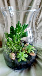 Naši vrtovi - Galerija